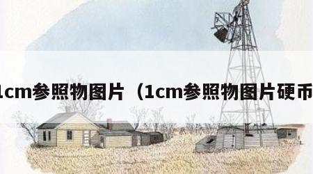 1cm参照物图片（1cm参照物图片硬币）
