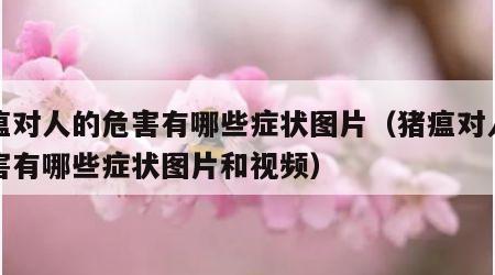 猪瘟对人的危害有哪些症状图片（猪瘟对人的危害有哪些症状图片和视频）