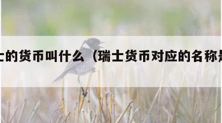 瑞士的货币叫什么（瑞士货币对应的名称是什么）