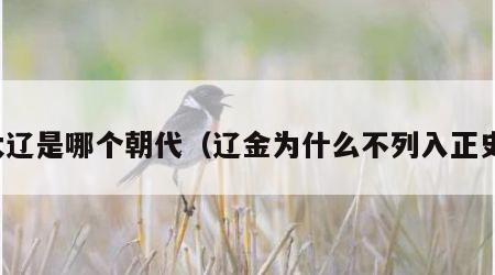 大辽是哪个朝代（辽金为什么不列入正史）