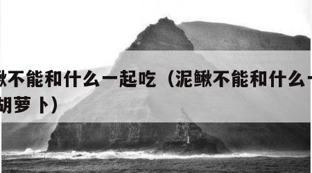 泥鳅不能和什么一起吃（泥鳅不能和什么一起吃 胡萝卜）