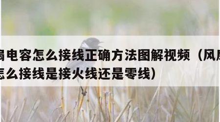 风扇电容怎么接线正确方法图解视频（风扇电容怎么接线是接火线还是零线）