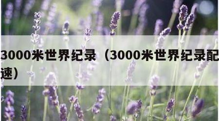 3000米世界纪录（3000米世界纪录配速）