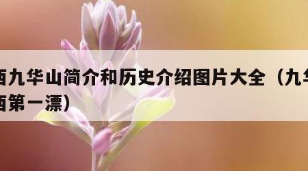 辽西九华山简介和历史介绍图片大全（九华山辽西第一漂）
