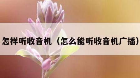 怎样听收音机（怎么能听收音机广播）