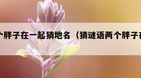 两个胖子在一起猜地名（猜谜语两个胖子在一起）