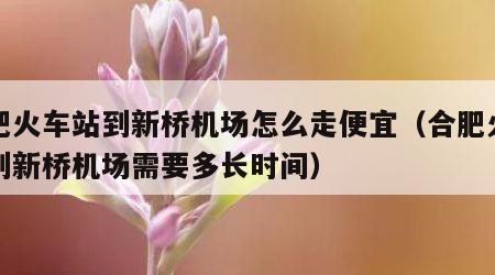 合肥火车站到新桥机场怎么走便宜（合肥火车站到新桥机场需要多长时间）