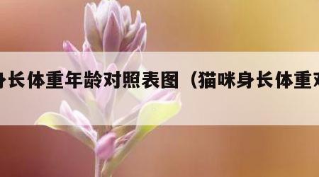 猫身长体重年龄对照表图（猫咪身长体重对照表）