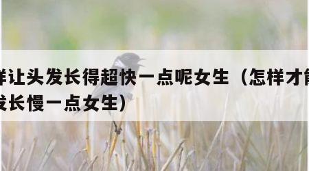 怎样让头发长得超快一点呢女生（怎样才能让头发长慢一点女生）