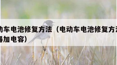 电动车电池修复方法（电动车电池修复方法充电器加电容）