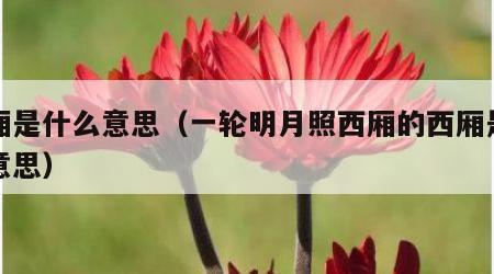 西厢是什么意思（一轮明月照西厢的西厢是什么意思）