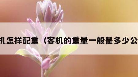 客机怎样配重（客机的重量一般是多少公斤）