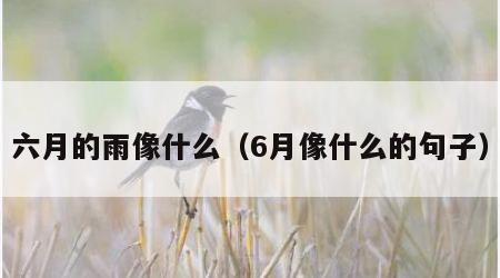 六月的雨像什么（6月像什么的句子）