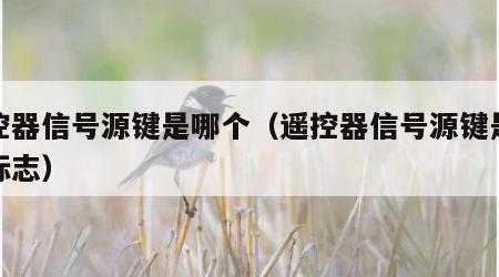 遥控器信号源键是哪个（遥控器信号源键是哪个标志）