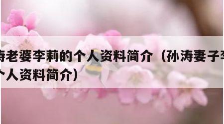 孙涛老婆李莉的个人资料简介（孙涛妻子李莉的个人资料简介）