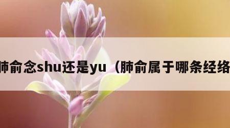 肺俞念shu还是yu（肺俞属于哪条经络）