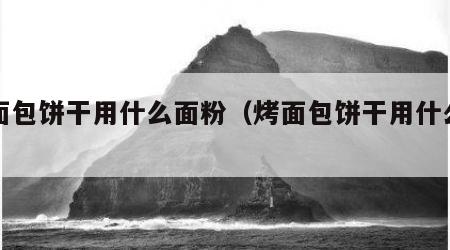 做面包饼干用什么面粉（烤面包饼干用什么面粉）