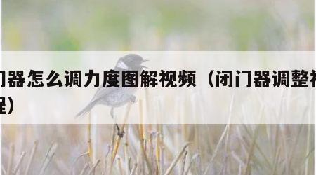 闭门器怎么调力度图解视频（闭门器调整视频教程）