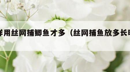 怎样用丝网捕鲫鱼才多（丝网捕鱼放多长时间）