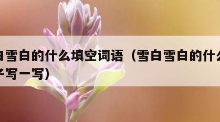 雪白雪白的什么填空词语（雪白雪白的什么照样子写一写）
