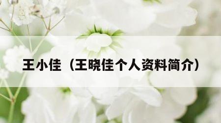 王小佳（王晓佳个人资料简介）