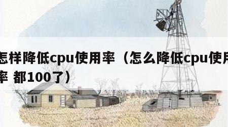 怎样降低cpu使用率（怎么降低cpu使用率 都100了）