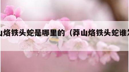 莽山烙铁头蛇是哪里的（莽山烙铁头蛇谁发现的）