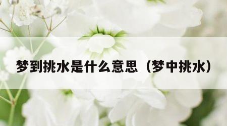 梦到挑水是什么意思（梦中挑水）