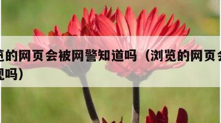 浏览的网页会被网警知道吗（浏览的网页会被发现吗）
