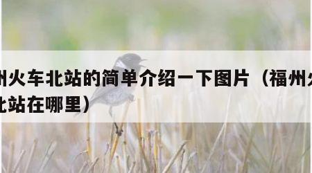 福州火车北站的简单介绍一下图片（福州火车站北站在哪里）