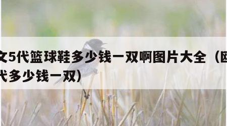 欧文5代篮球鞋多少钱一双啊图片大全（欧文五代多少钱一双）