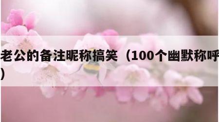 给老公的备注昵称搞笑（100个幽默称呼老公）