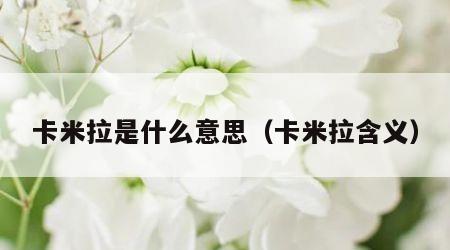 卡米拉是什么意思（卡米拉含义）