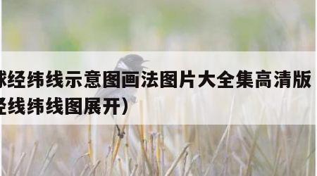 地球经纬线示意图画法图片大全集高清版（地球经线纬线图展开）