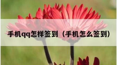 手机qq怎样签到（手机怎么签到）