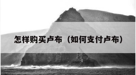 怎样购买卢布（如何支付卢布）