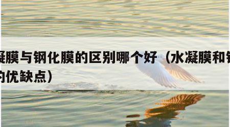 水凝膜与钢化膜的区别哪个好（水凝膜和钢化膜的优缺点）