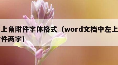 左上角附件字体格式（word文档中左上角附件两字）