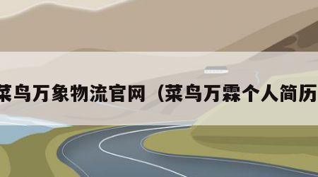 菜鸟万象物流官网（菜鸟万霖个人简历）
