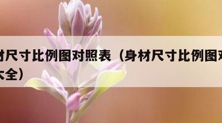 身材尺寸比例图对照表（身材尺寸比例图对照表大全）
