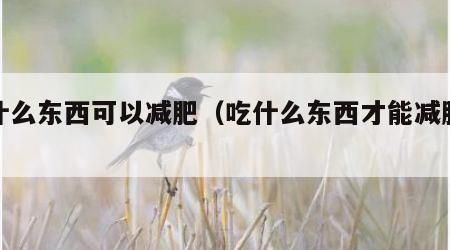 吃什么东西可以减肥（吃什么东西才能减肥最快）