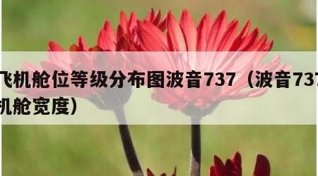 飞机舱位等级分布图波音737（波音737机舱宽度）