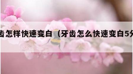 牙齿怎样快速变白（牙齿怎么快速变白5分钟）