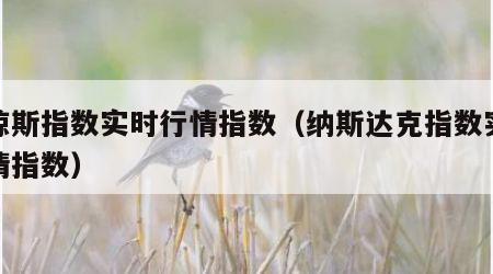 道琼斯指数实时行情指数（纳斯达克指数实时行情指数）