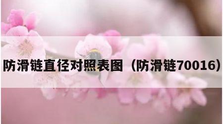 防滑链直径对照表图（防滑链70016）