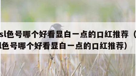 ysl色号哪个好看显白一点的口红推荐（ysl色号哪个好看显白一点的口红推荐）
