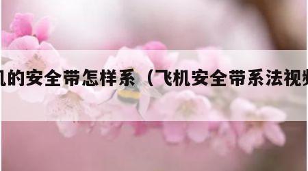 飞机的安全带怎样系（飞机安全带系法视频教程）
