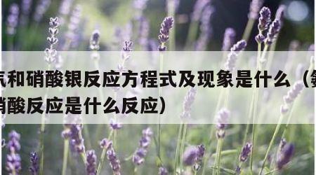 氨气和硝酸银反应方程式及现象是什么（氨气和硝酸反应是什么反应）