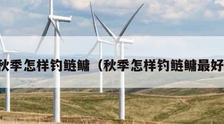 秋季怎样钓鲢鳙（秋季怎样钓鲢鳙最好）