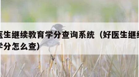 好医生继续教育学分查询系统（好医生继续教育学分怎么查）